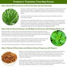 Prostavec Prostate Support Supplement Allnatural Liquid Formula For Prostate Care Frequent Urination Overactiv Overactive Bladder Turmeric Root Mens Nutrition