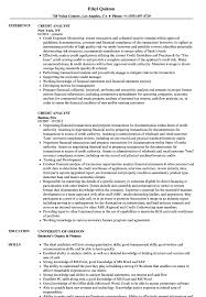 A finance analyst resume objective used to describe your goals. Credit Analyst Resume Samples Velvet Jobs