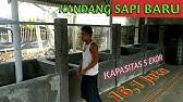 Berikut keunggulan sapi limosin, yaitu : Menjawab Ukuran Kandang Sapi Untuk Bisnis Pengemukan Youtube