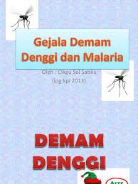 Cari pertolongan medis segera jika salah satu dari tanda atau gejala ini menyertai: Gejala Demam Denggi Dan Malaria