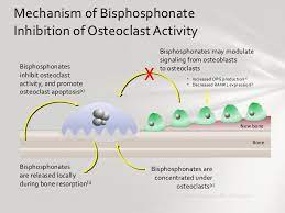 246e7bb204f49c85f28b2d1750c5e0ee Jpg 728 546 Pharmacology Nursing Pharmacology Med School