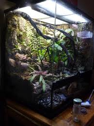 24x18x24 Exo Terra Gecko Exo Terra Vivarium Crested Gecko