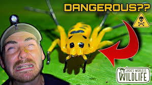 The Spiders in Your Yard