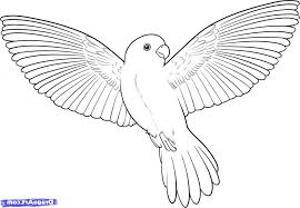 Drawing Flying Birds How To Draw A Flying Bird How To Draw A Bird Step Step Birds Vogels Tekenen Dieren Tekenen Vliegende Vogels
