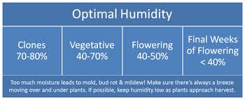 Controlling Humidity Indoors