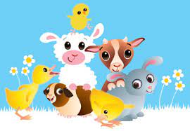 İlk görüş bildiren siz olun! Parties Mobile Animal Farm Sydney Petting Zoo Hire Kindifarm Com