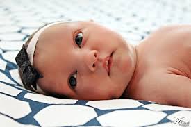 Allison Clark Photography