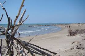 Plage Du Grand Radeau Les Saintes Maries De La Mer 1h De Marche Sainte Marie Plage La Mer