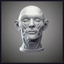 8 Zbrush ideas