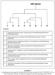 Image result for Indigofera soutpansbergensis