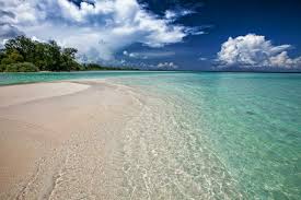 Lesa mas tokante e ordenansa di emergensia (9 di yüli 2021) susesonan di bida. The Most Beautiful Beaches On Bonaire Bonaire Resorts