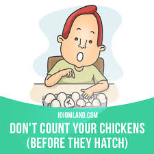 Idiom Land Don T Count Your Chickens Before They Hatch