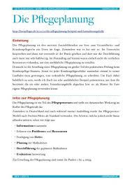Die vorliegende arbeitshilfe ist kein vordruck/muster für eine gefährdungsbeurteilung. Die Pflegeplanung Herr Pfleger