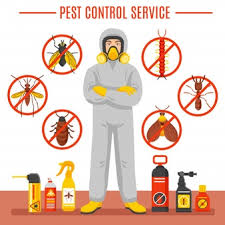 What types of pests do exterminators cover? Free Vector Pest Control Service Illustration
