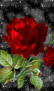 Https Encrypted Tbn0 Gstatic Com Images Q Tbn And9gcrldco4vueg14yy3t1z 2mk6ea8bf Tfgplag Usqp Cau
