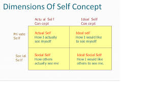 Perception Personality And Self Concept Self Concept Self Nursing School Projects