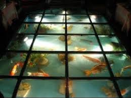 Lantai Kaca Di Bawah Kolam Ikan Rumah Minimalis Youtube