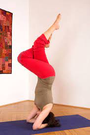 La dernière modification de cette page a été faite le 29 juin 2021 à 22:35. Yoga Verena Mayr Studio Fur Yoga Atem Stimme Innsbruck