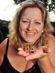 Dormice dash to Secret World