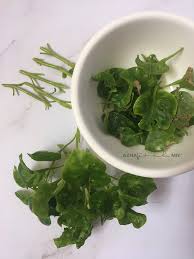 Bayam juga mengandung oksalat yang dapat menghambat penyerapan zat besi. Senang Je Tanam Bayam Brazil Blog Sihatimerahjambu