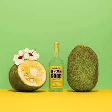 🍹🌈🌺 Fun fact. Jackfruits can be 100lbs making them the largest  tree-fruit in the world. (Pumpkins are one of the few capable of growing  larger but not