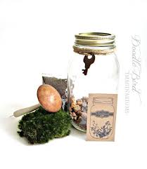 Terrarium Kit Mason Jar Kit Plants Terrarium Gift Set Diy Starter Kit How To Build A Terrarium Terrariums Kits Diy Terrarium Kit Diy Gift Set