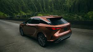 Image result for Copper Crest 2025 RZ