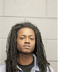 ᐅ Illinois Criminal Records 2009-2025