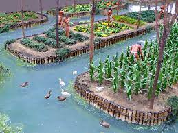 mexico おしゃれまとめの人気アイデア pinterest ac パーマカルチャーデザイン 都市型農園 野菜のガーデン