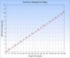 Warfarin For Dogs Veterinary Place