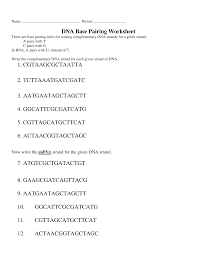 Dna is made up of four nucleotide bases, each of which. 2
