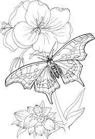Butterfly Stands On A Plant Butterfly Coloring Page Coloring Pictures Coloring Pages Choose your favorite coloring page and color it in bright colors.