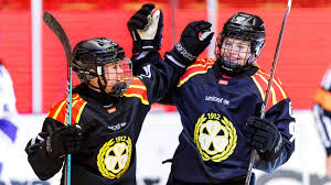 / official twitter of brynäs if and the | twaku. Brynas If Hockeysverige
