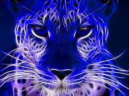 Find the large collection of 19000+ purple background images on pngtree. Galaxy Cheetah Wallpapers Top Free Galaxy Cheetah Backgrounds Wallpaperaccess