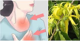 Sakit pinggang yang disebabkan oleh masalah otot dipanggil 'lumbago'. Mereka Yang Mengidap Sakit Asma Wajib Cuba Petua Ini Memang Mujarab Rencah Rasa