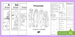 Partile de vorbire flexibila sunt: PÄrÈi De Vorbire GramaticÄ Ciclul Primar Romania