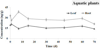 Environmental Fate Of The Anti Parasitic Ivermectin In An