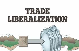 Meaning Advantage And Disadvantage Of Liberalization Explained Briefly Gk Education