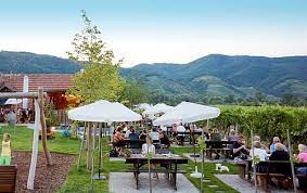 138 likes · 10 talking about this · 12 were here. Die Etwas Andere Wachau