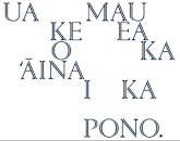 Image result for Important videos posted by amelia gora