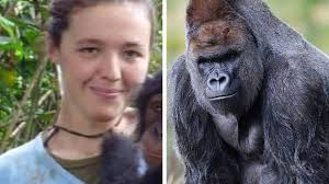 Dublin Zoo keeper reveals her horror at 'painful, terrible' death of Harry  the gorilla