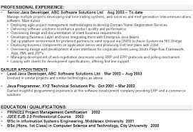 Software Developer CV Sample