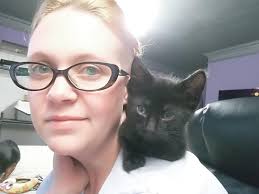 Found cat in Spring Creek and Alma area