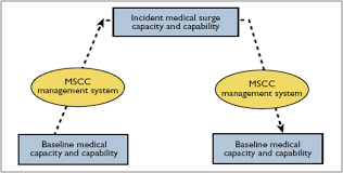 1 1 1 Medical Surge Capacity
