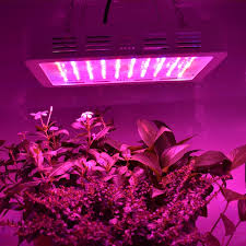 10 Best 600 Watt Led Grow Light Of 2020 Reviews