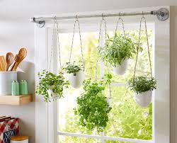 Attaches to window via suction cups. Window Herb Planter Better Homes Gardens