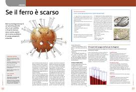 Il ferro negli alimenti è presente in due forme con differente biodisponibilità: Anemia Come Capire Se Ci Sono Dei Problemi