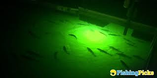 10 Best Underwater Fishing Lights Attract Fish Anywhere