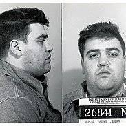 Sunnyside Garden (@SunnysideFights)