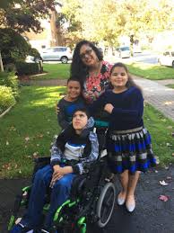 Image result for Erica microdonta